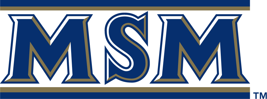 Mount St. Marys Mountaineers 2006-2016 Secondary Logo iron on transfers for clothing